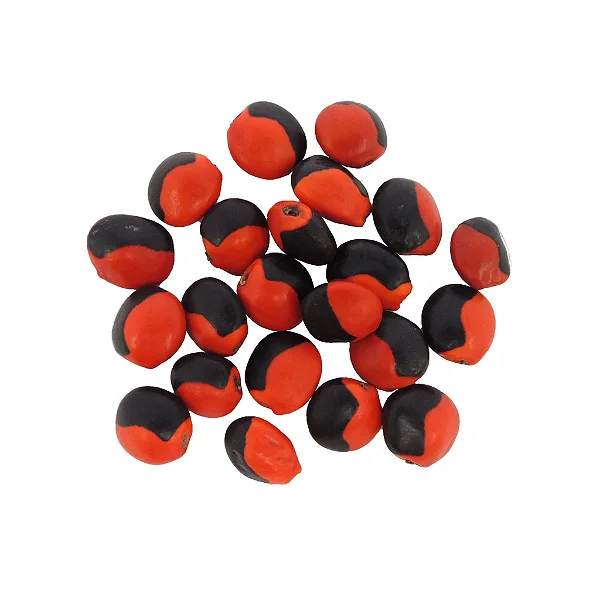 Fava Olho de Exu - Unidade