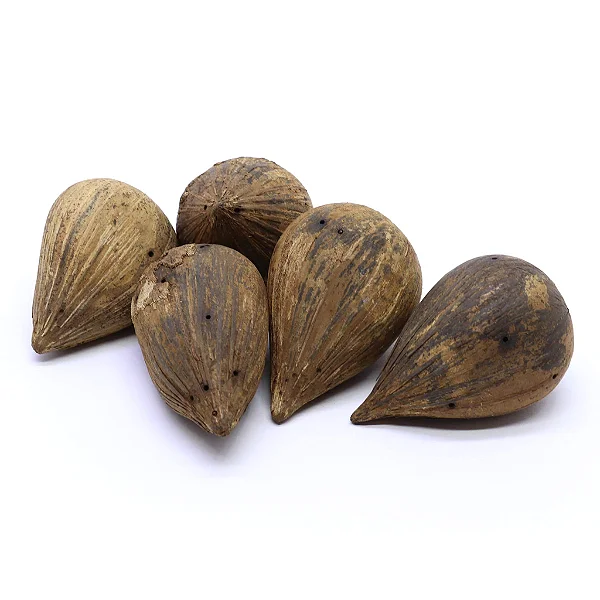 Fava Ifá - Unidade