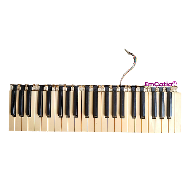 Peça de Reposição – Teclado Inferior Órgão Minami ME-7100