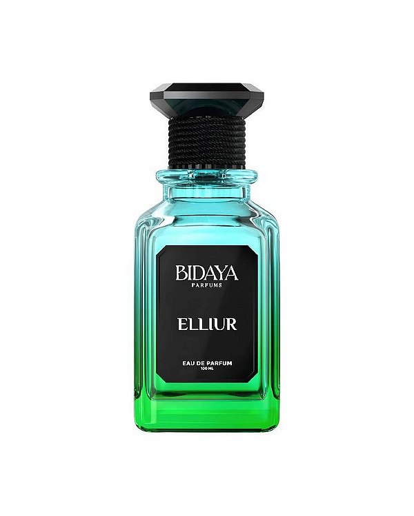 Elliur Eau de Parfum Bidaya - 100ml - Masculino