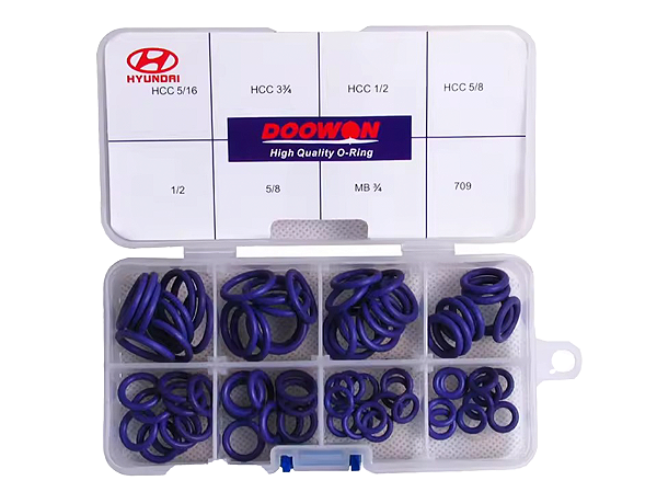 Kit de O-Rings Doowon com 119 Unidades