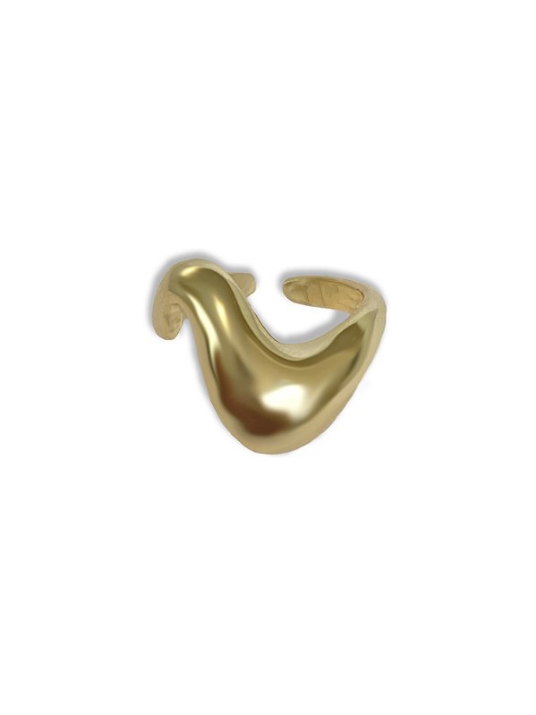 Anel Waves