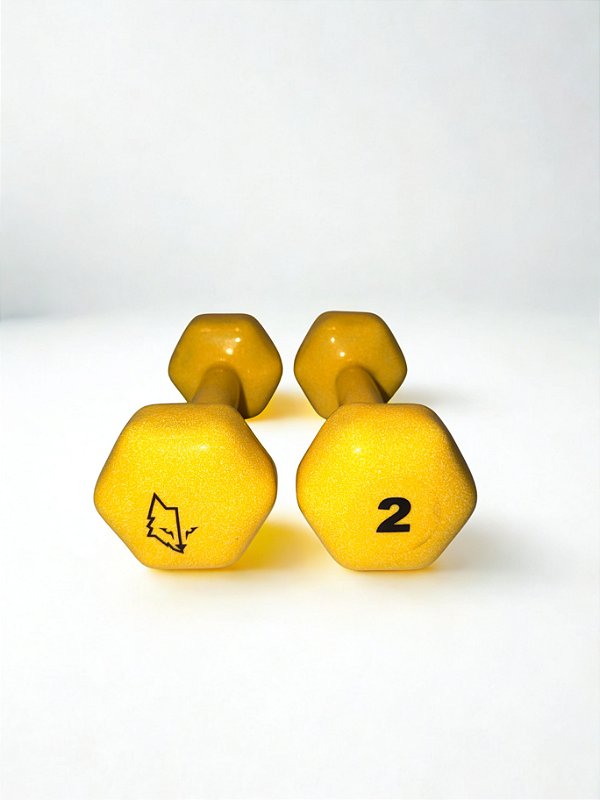 Par de Halter Sextavado 2kg