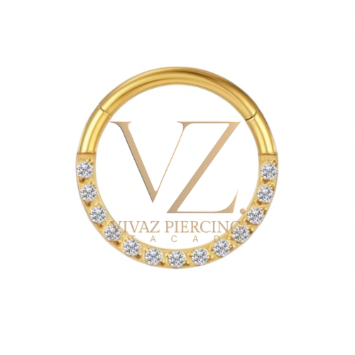 Piercing Argola Titânio Pvd Frontal Cravejado