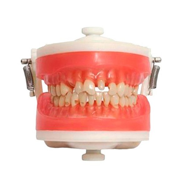 Manequim Top Materiais Dentarios PD101 - PRONEW
