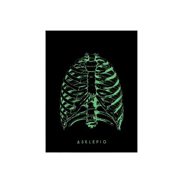Quadro Torax Verde Sem Moldura
