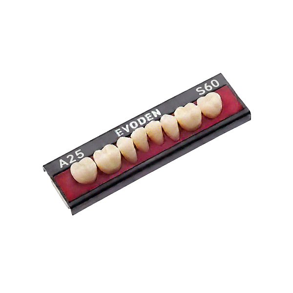 DENTE ECODENT - ANT. A25 SUP 60 - EVODEN