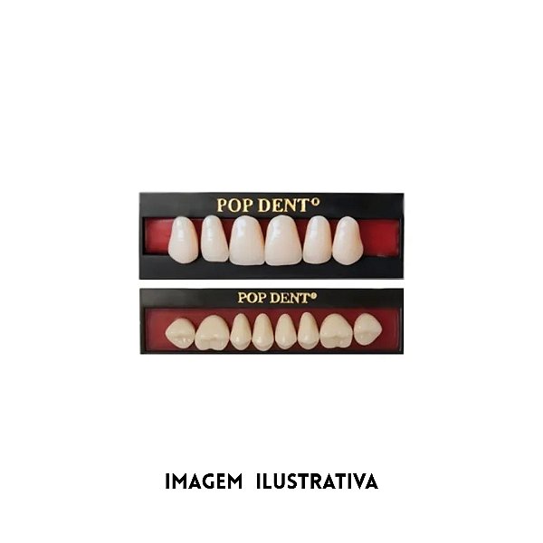DENTE POP 32L SUP 62 - VIPI