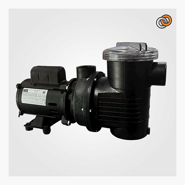 Motobomba Sibrape BPF 1cv N48J - 13030395