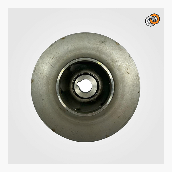 Rotor da bomba Lepono ACm 3cv chavetado inox
