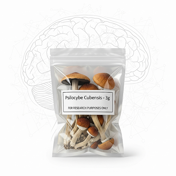 Psilocybe Cubensis (grama)