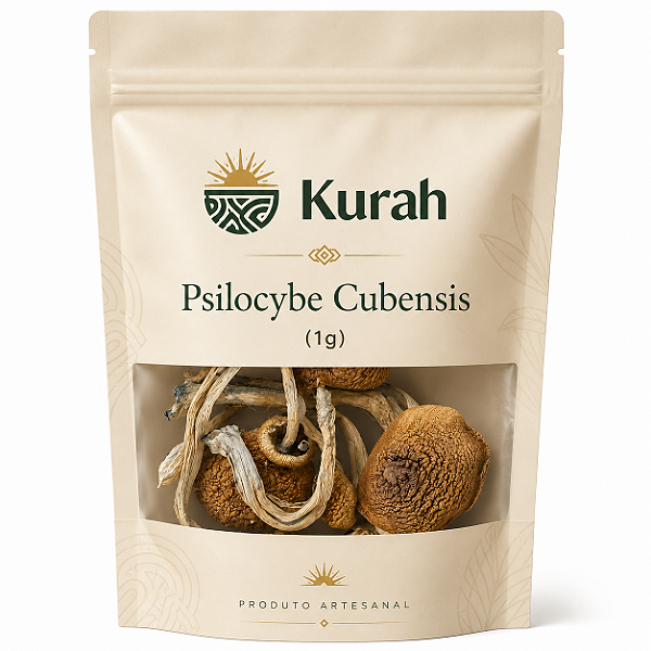 Psilocybe Cubensis (1g)