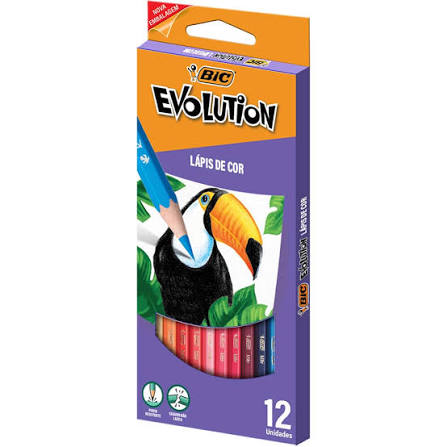 LAPIS DE COR EVOLUTION-SEXTAVADO COM 12 CORES BIC