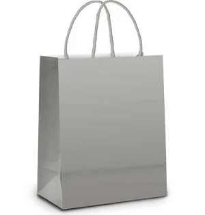 SACO PARA PRESENTE 12X16CM ABRIDAO