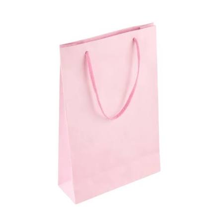 SACOLA SURPRESA COR: LISO PINK 23X6X16 TEMA FESTAS