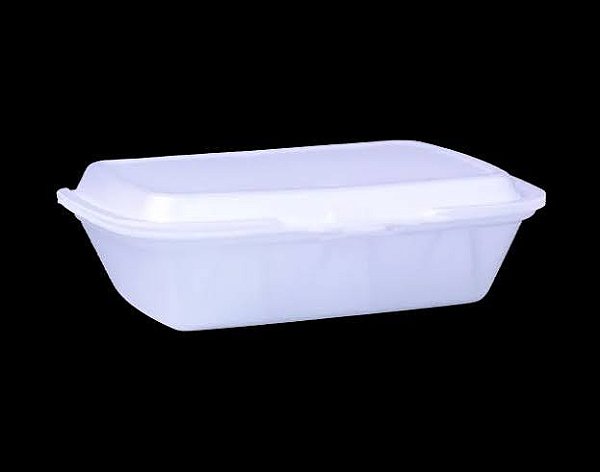 TH 101 HAMBURGUEIRA -  235X160X75 TOTALPLAST (ESTOJO)