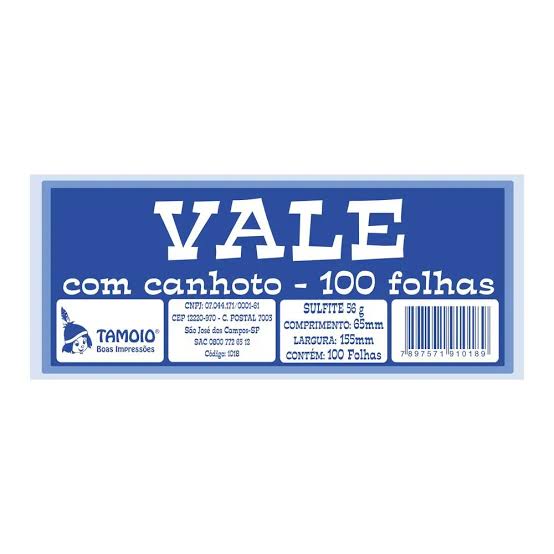 VALE C/CANHOTO 100 FOLHAS TAMOIO