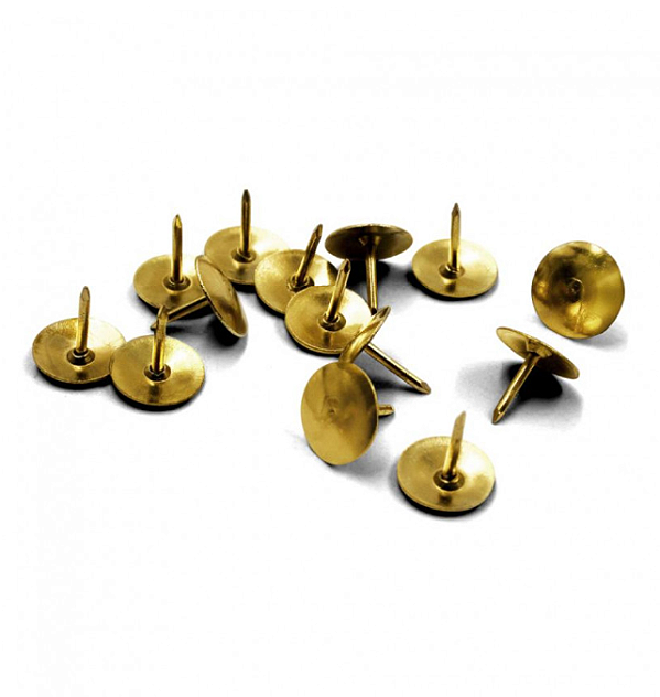 Percevejo dourado com 100UN - ONDA