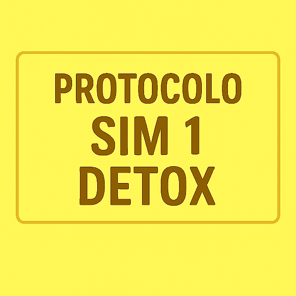 Protocolo SIM 1