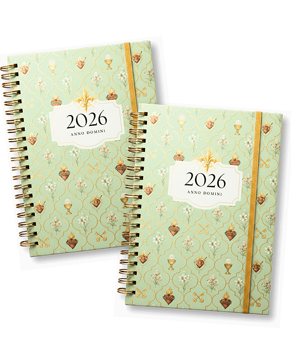 Combo Agendas Tradicionais (2 itens)