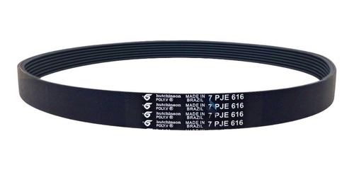 Correia Para Tanquinho Newmaq Numero  7pje 616