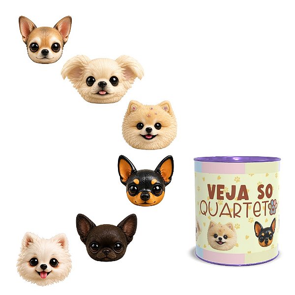 Kit 6 Ímãs Veja Só Quarteto Pets