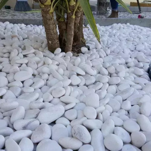 Pedra Branca Seixo Tam 3 - 40kg