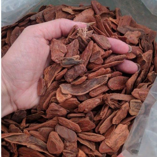 Casca de Pinus Polida Média - Pacote de 30L