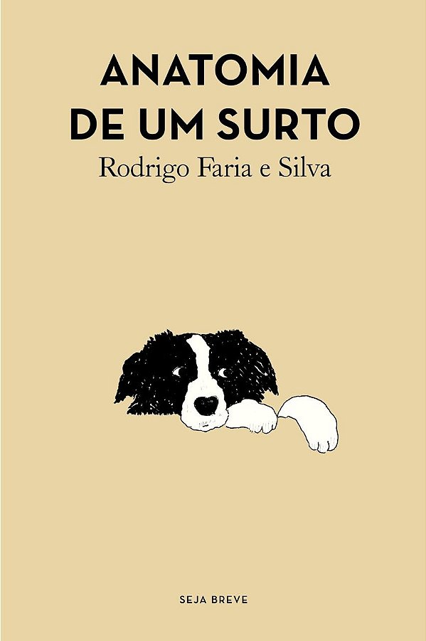 Anatomia de um surto