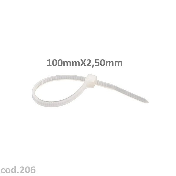 ABRACADEIRA PLASTICA 10 CM 100X2,5