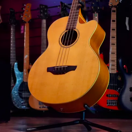 Baixolão 4 Cordas Eletroacústico Takamine Eg512c Natural (Usado)