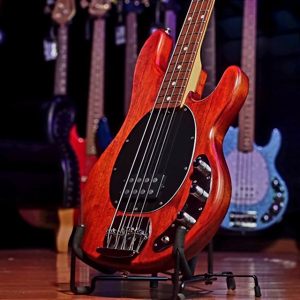 Baixo 4 Cordas Sterling By Music Man SUB Series StingRay Walnut Satin