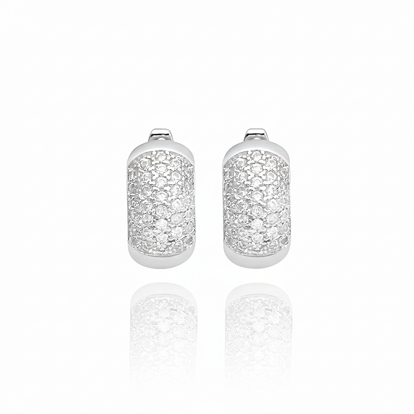 Brinco Argola 34 Pedras Cravejada em Zircônia (Banho Prata 925)