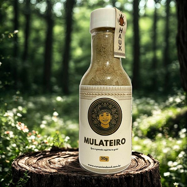 Medicina da Floresta Mulateiro