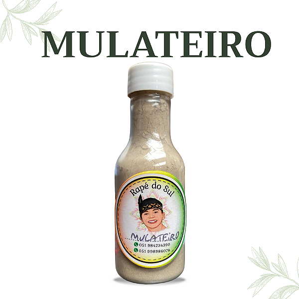 Medicina da Floresta Mulateiro
