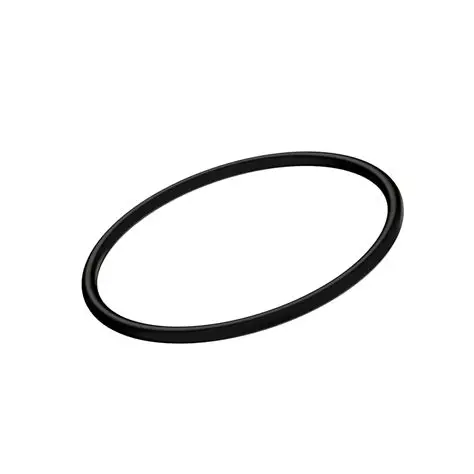 ANEL O-RING 2,62 x 25,07 x 30,31 VITON – G11058V ARAG