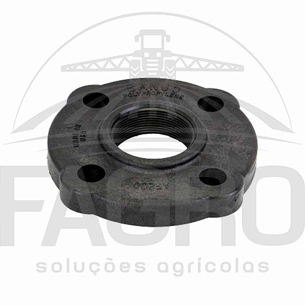 (ITEM PROMOCIONAL) FLANGE ANSI ROSCA FÊMEA 2 PP - BANJO