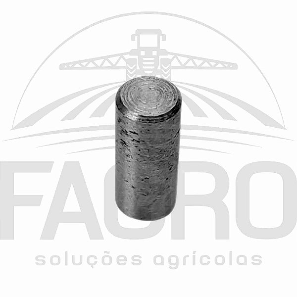 (ITEM PROMOCIONAL) CHAVETA 1610-0031 - HYPRO