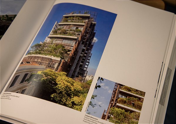 100 Anos de Arte Moderna: A Cena Contemporânea