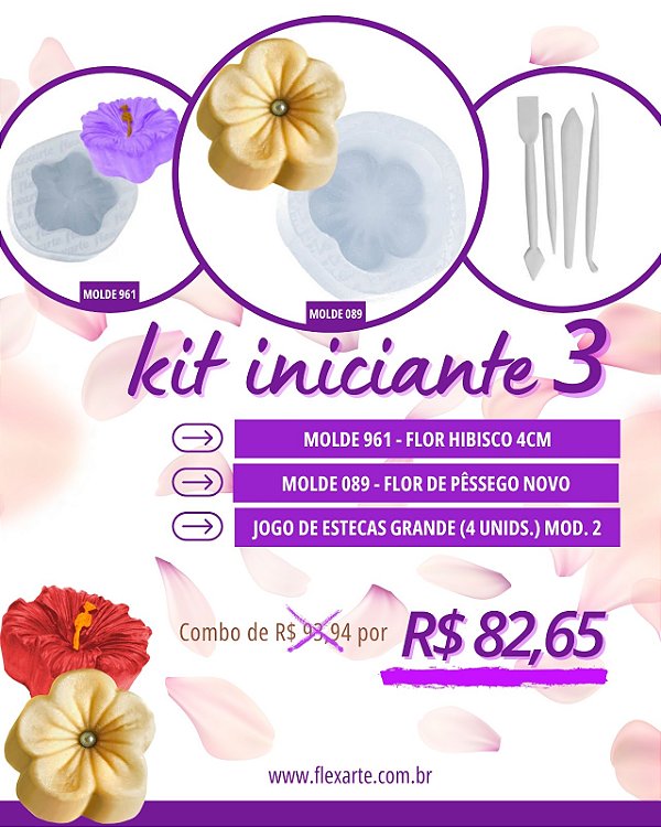 Kit Iniciante 3 (089 + 961 + Jogo de Estecas (4 unids. Mod2)