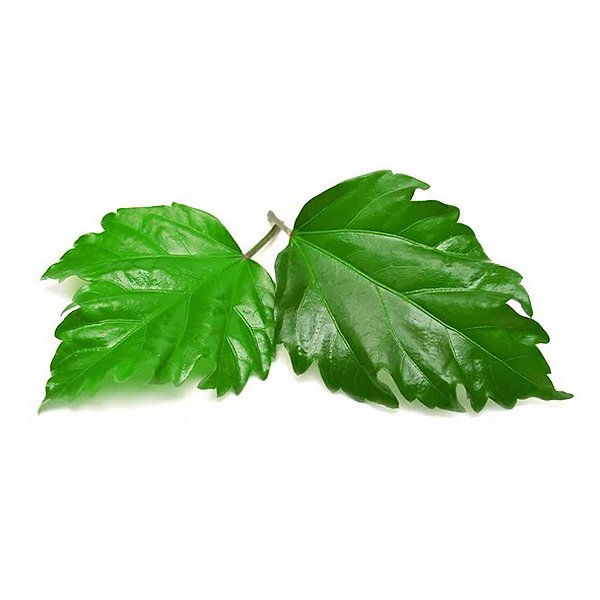 Marcador Folha Hibísco (2 peças) - 074M - Flexarte