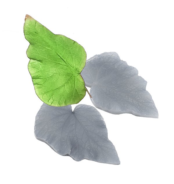 Molde de  Silicone 036 - Marcador da Folha da Begônia