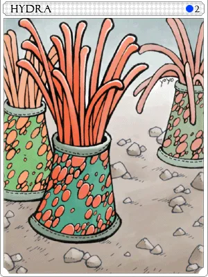 Carta Hidra