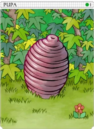 Pupa Card