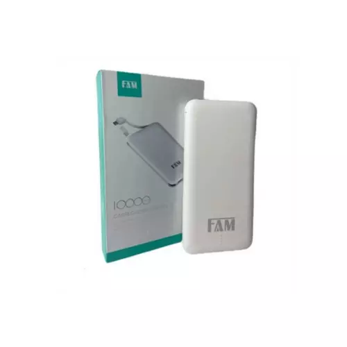 Power Bank Fam