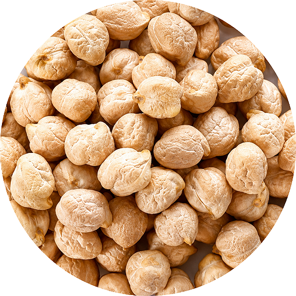 GRÃO DE BICO 1KG