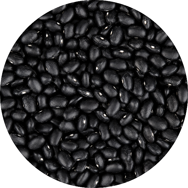 FEIJÃO PRETO 1KG