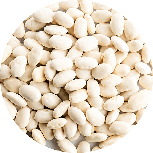 FEIJÃO BRANCO 1KG