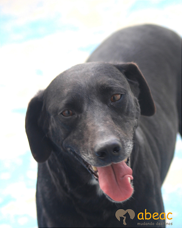 Astor-Bombom - 05 anos