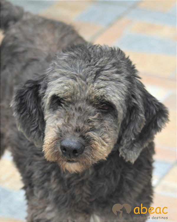 Billy-carapicuiba - 13 anos